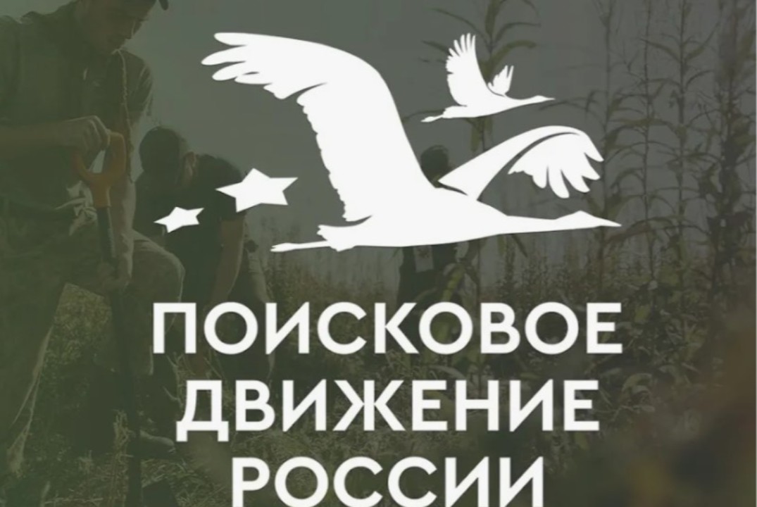 Знакомство с Поисковым движением России: путь к патриотиз...