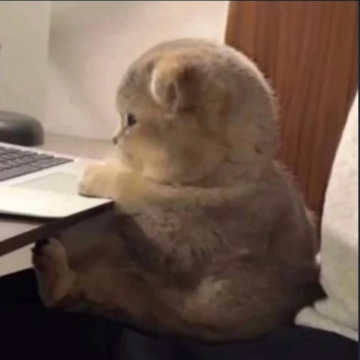 Татьяна  Карачева