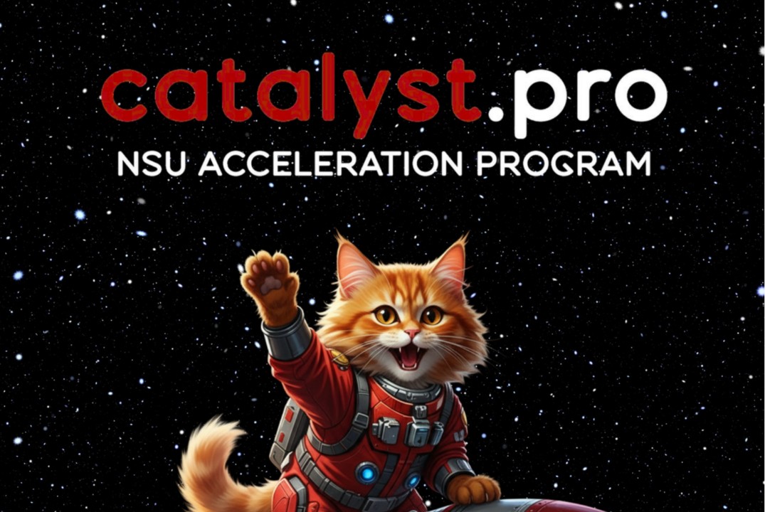 Деловая игра «Снежинки» на освоение практических навыков Customer Development