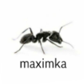 Завьялов Максим Максимович Завьялов Максим Максимович