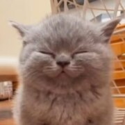 Ильина Лилия