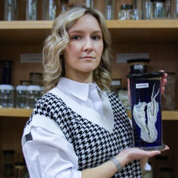 Вшивцева Алена Игоревна