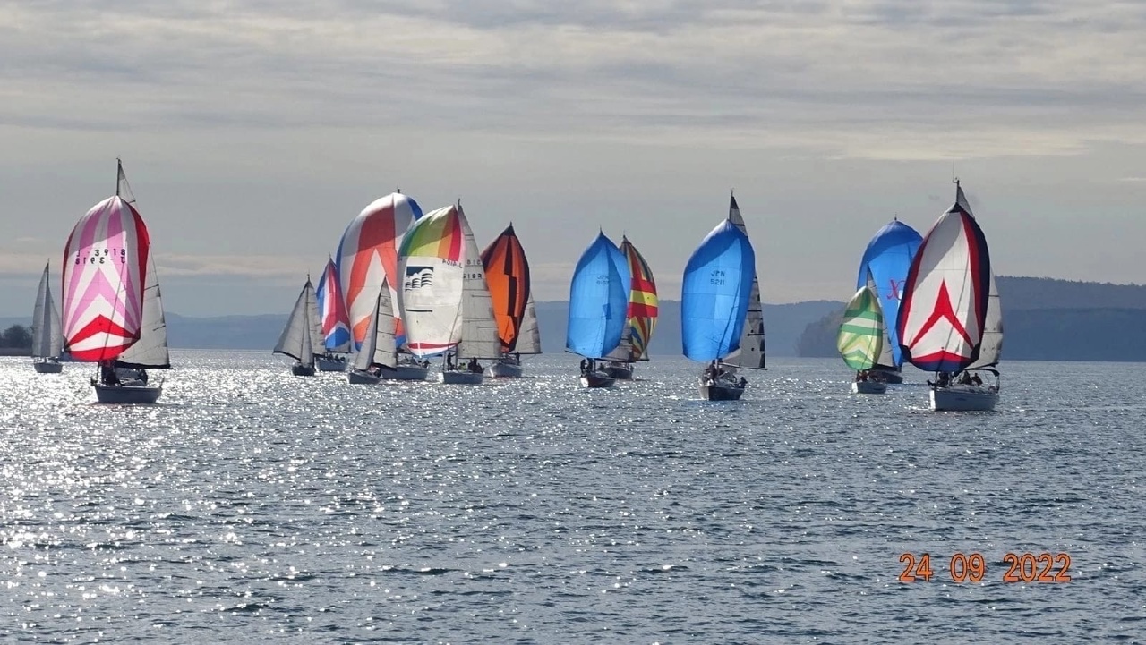 Проект "Море Пап"