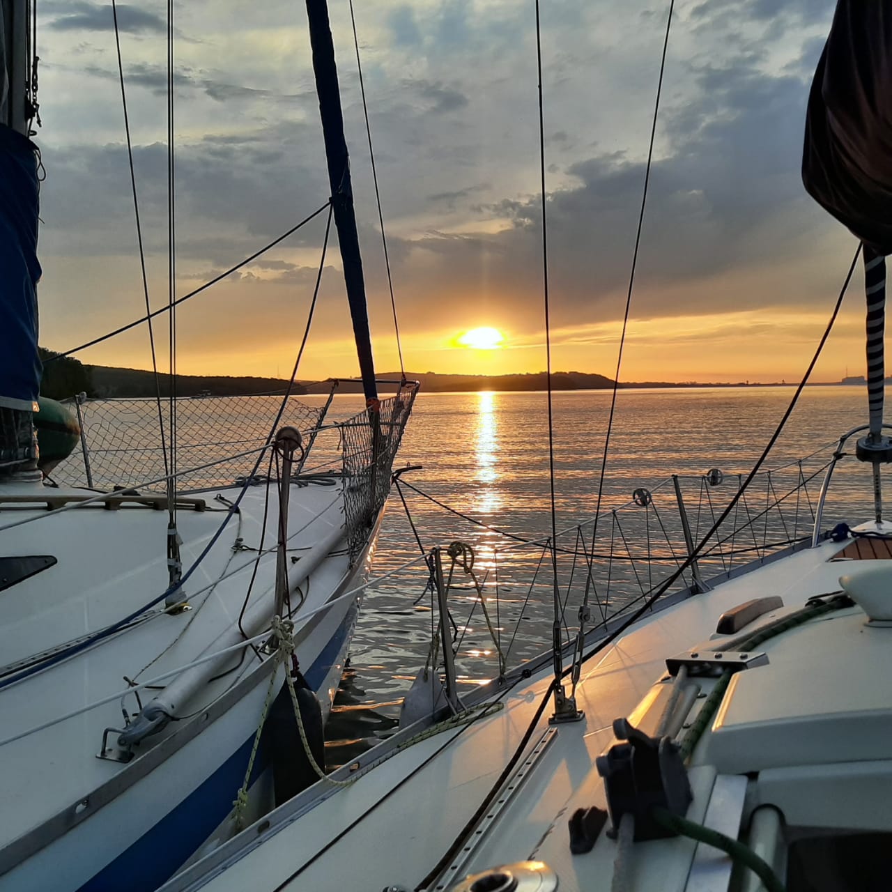 Проект "Море пап"