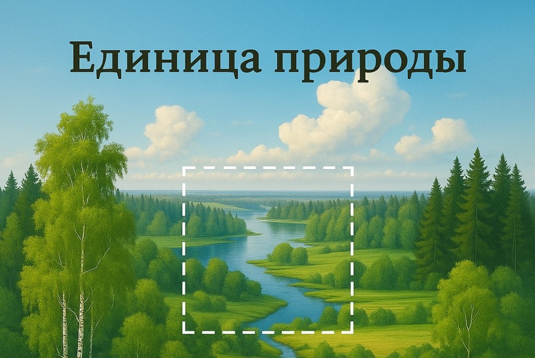 Обсуждение концепции "Единица природы"
