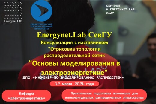 Energynet.Lab СевГУ. Консультация с наставником