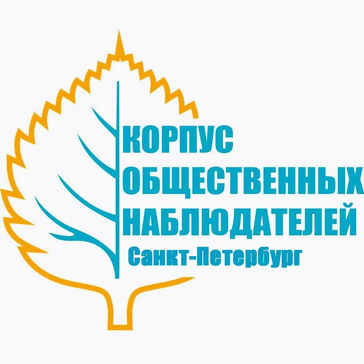 Обучение Федеральных общественных наблюдателей ГИА Санкт-...