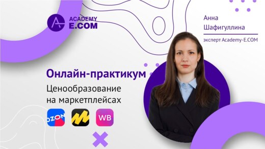 Онлайн практикум - Ценообразование на Маркетплейсах: Wild...