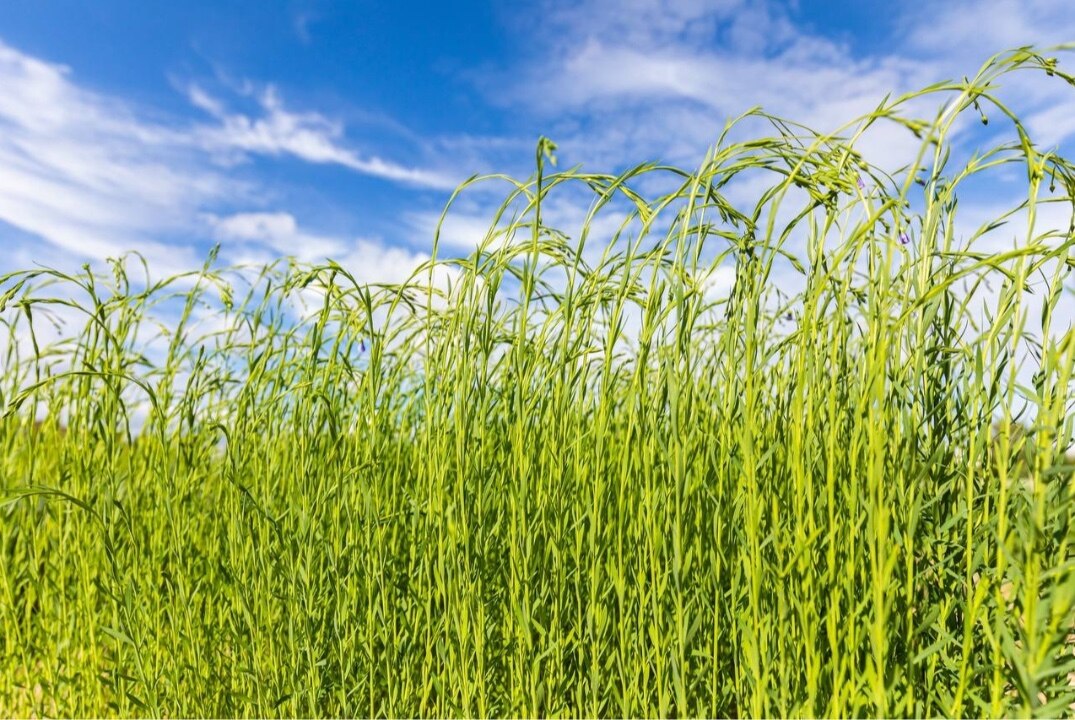 Современные подходы к составлению системы удобрения в хозяйствах различной специализации