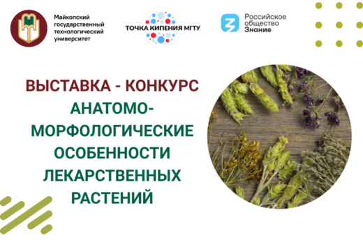 Выставка -конкурс "Анатомо-морфологические особенности ле...