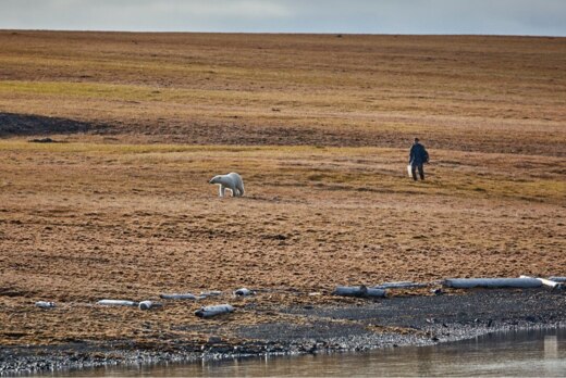 Кинопутешествия на край света: к китам Берингии и в "Царс...
