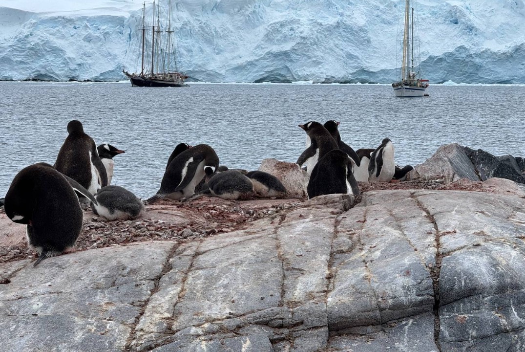 «Путешествия с РГО: в эфире Антарктида» с Мариной Клочков...