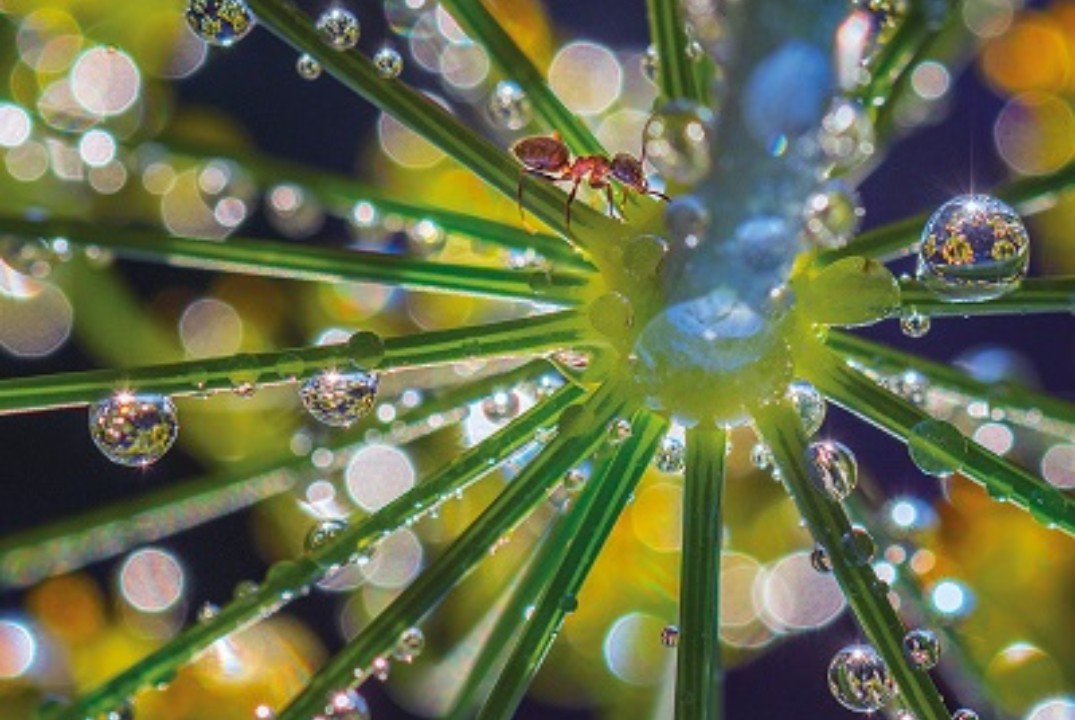 Открытие фотовыставки РГО "Самая красивая страна"