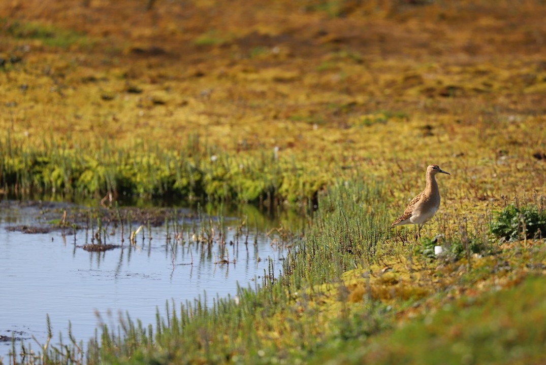Кинопутешествия на край света: где тундра встречает море