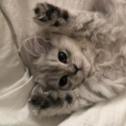 Татур Екатерина