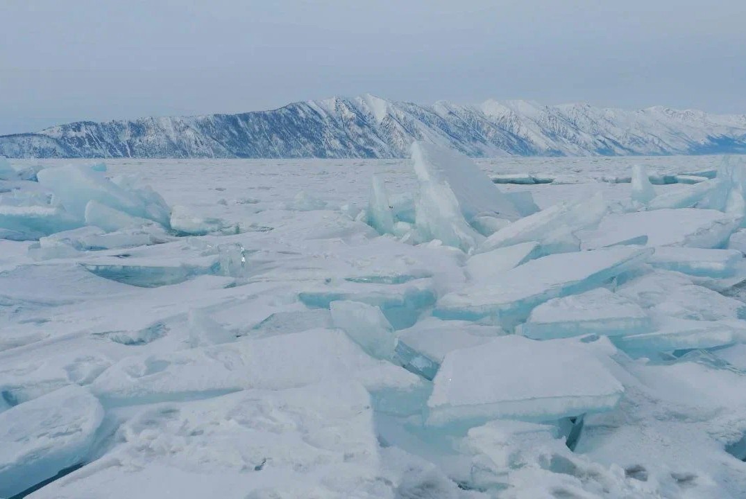 Дни научного кино ФАНК в РГУТИС