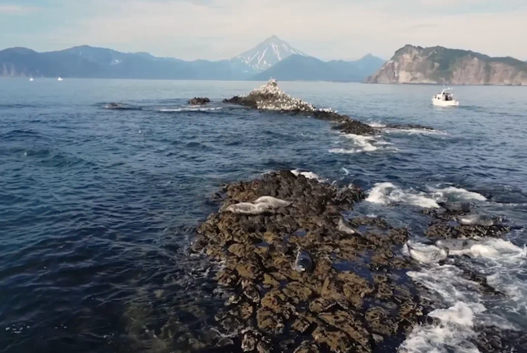 Дни научного кино ФАНК в РГУТИС