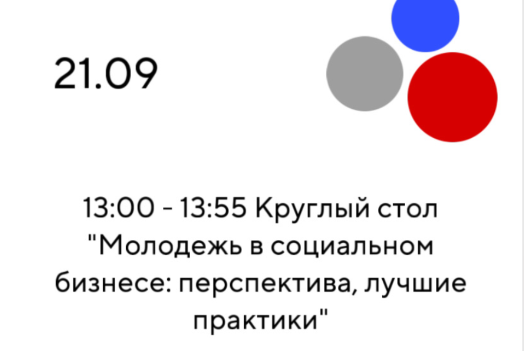 Круглый стол "Молодежь в социальном бизнесе: перспектива, лучшие практики"