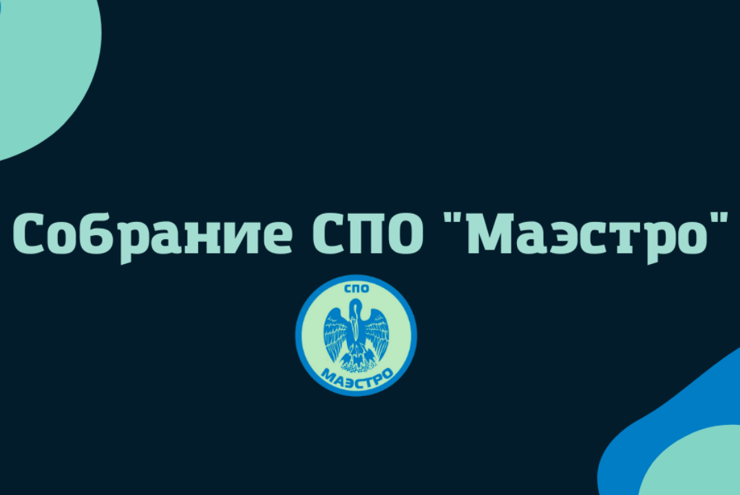 Собрание Школы Вожатского Мастерства "Маэстро" ШСО РГПУ им. А. И. Герцена