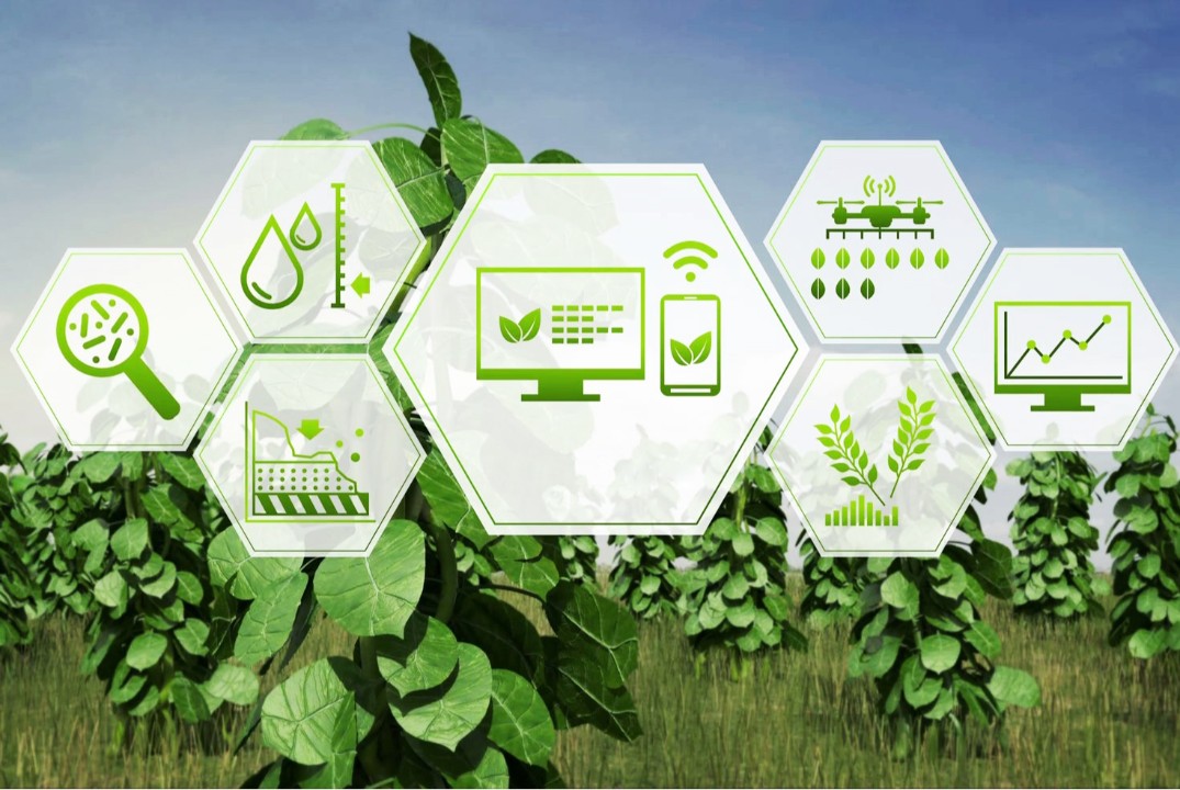 Лекция «Инновационные технологии в сельском хозяйстве: Оптимизация урожайности через технологии будущего»