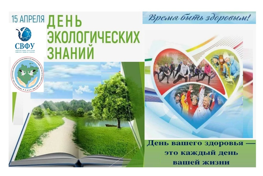 Эколого-валеологические идеи в День экологических знаний