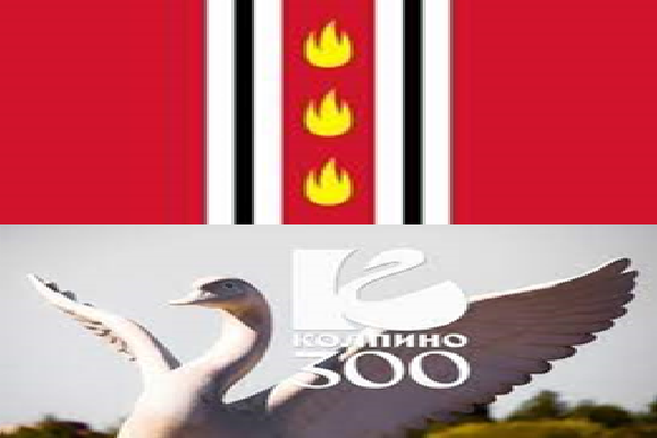 Колпинская профассамблея