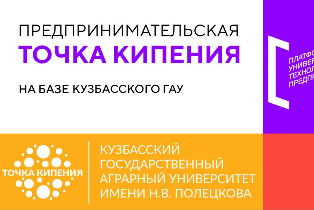 Игра "Стартап-генератор"