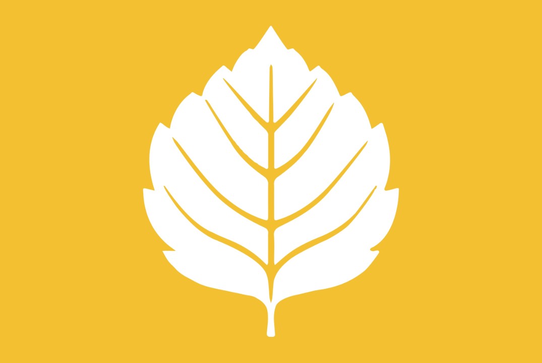 День рождения Самарского Союза Молодежи