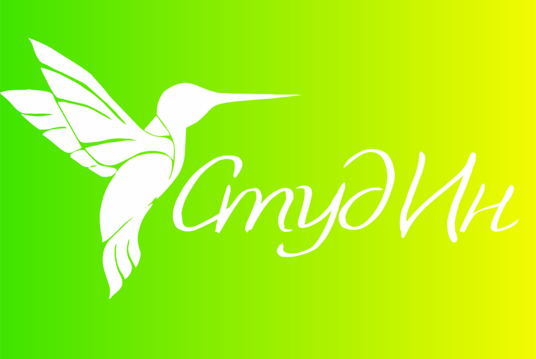 Итоговая встреча Инклюзивного клуба СтудИн в 2024-2025 у....