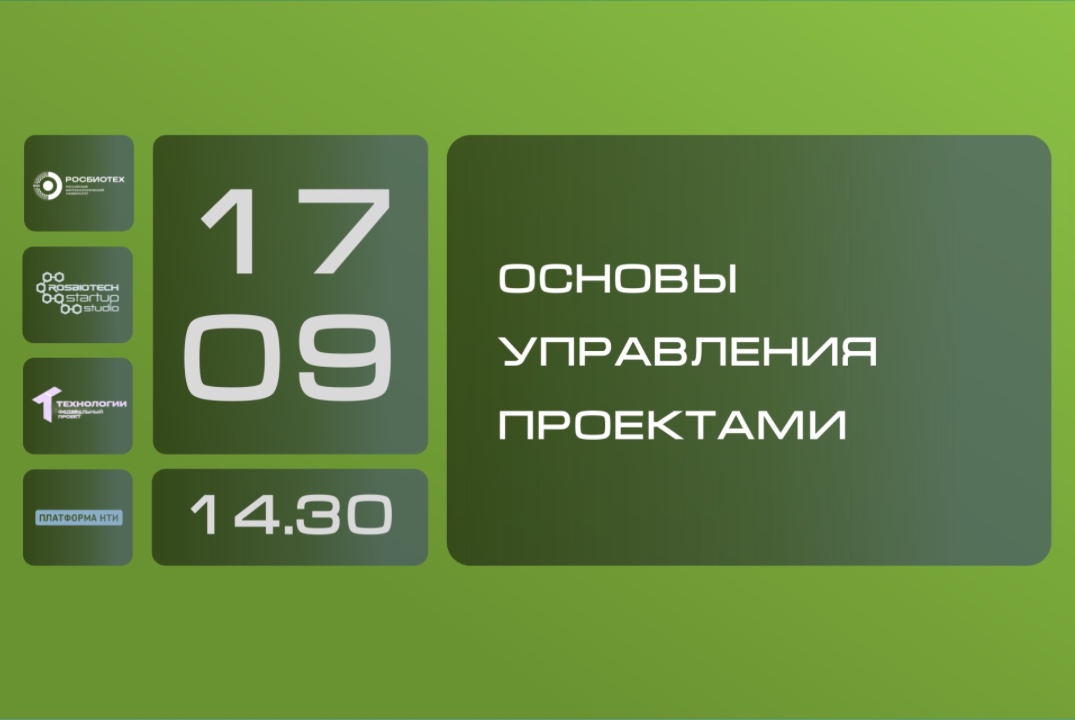 Основы управления проектами