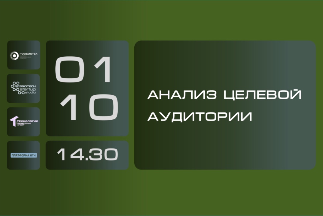 Анализ целевой аудитории