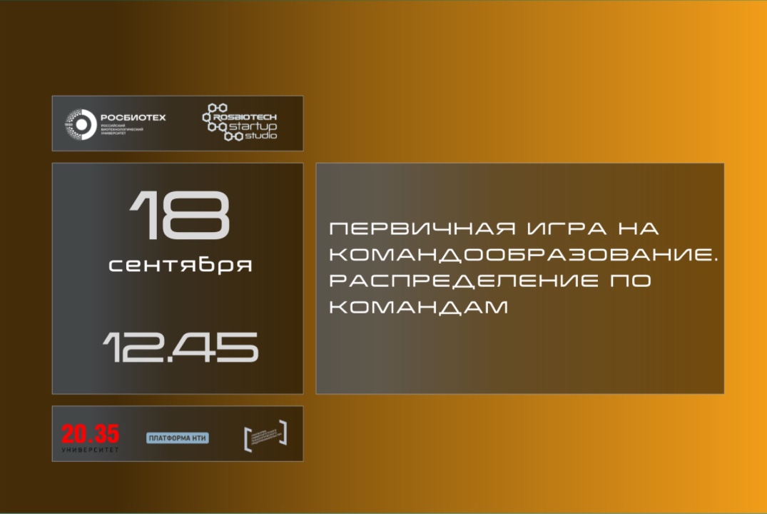 Первичная игра на командообразование. Распределение по командам"