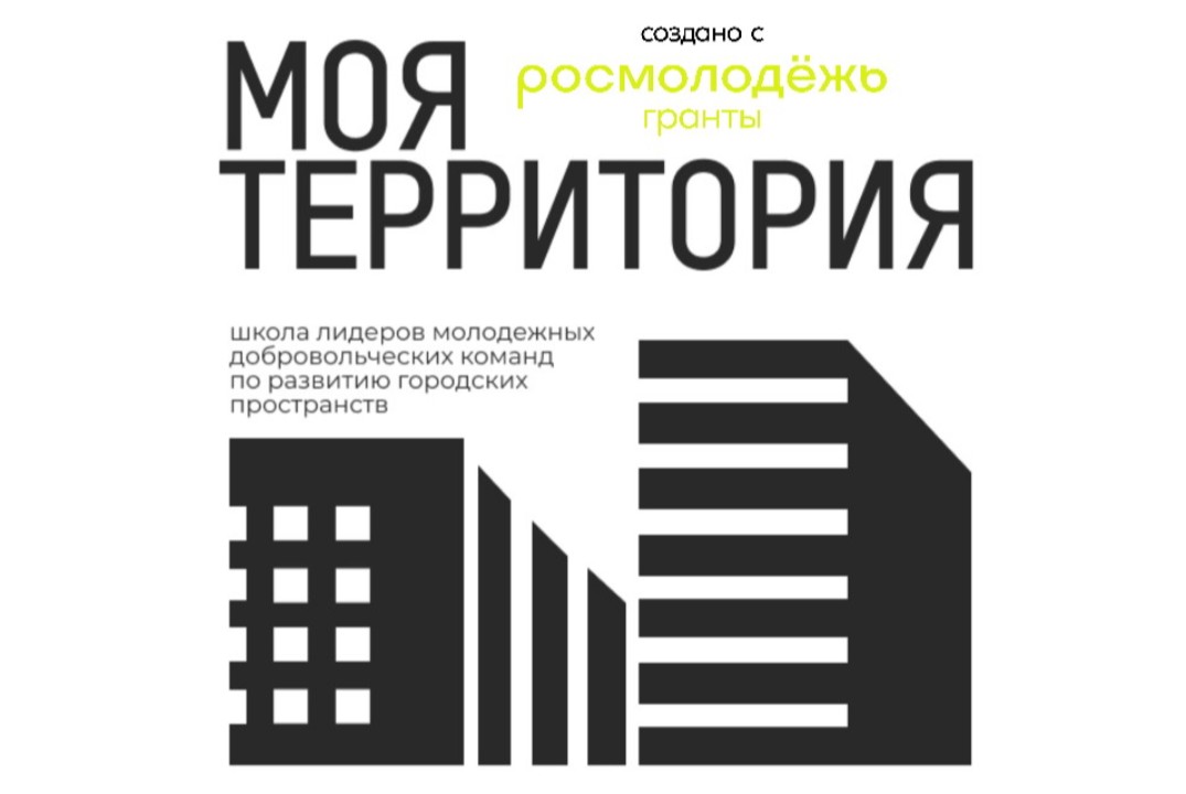 Экспертная сессия в рамках школы лидеров молодежных добро...