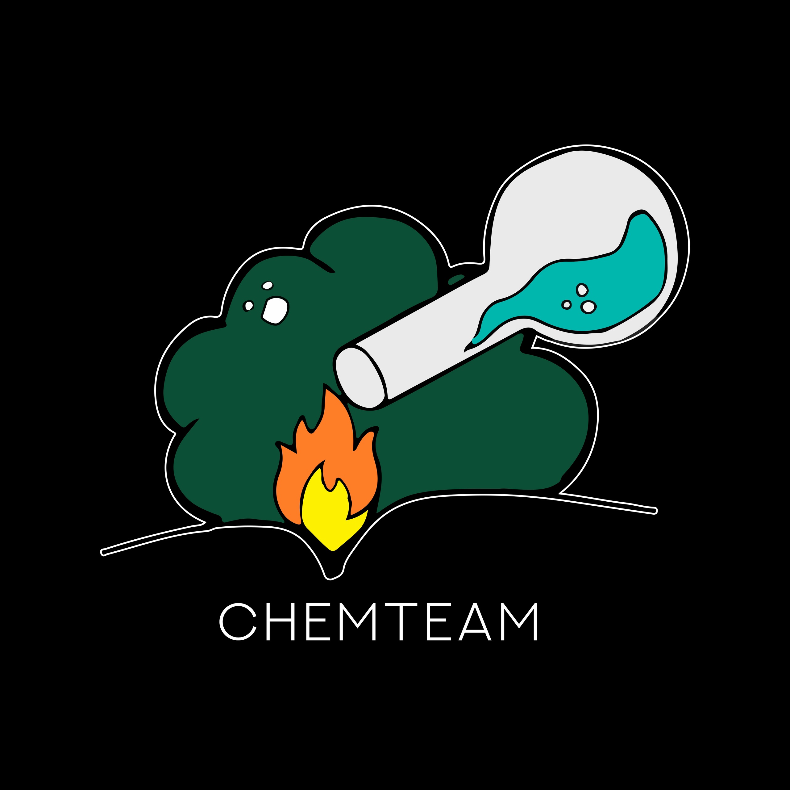 Собрание студенческого химического объединения «ChemTeam»