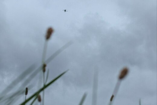 Консультация для участников КОЗ № 1 Технологического конк...