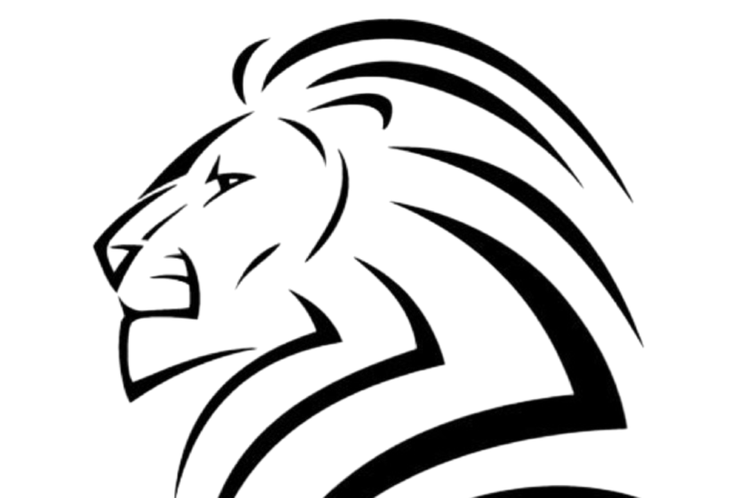 Защита проектной работы на тему: «Студгородок будущего»