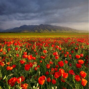 Татьяна Ивановна Ксеневич