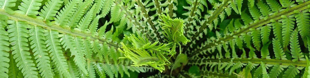 Обложка профиля