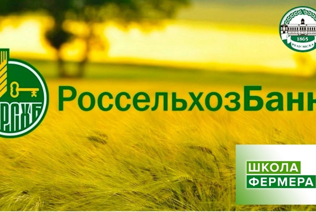 Правовое регулирование предоставления земельных участков...