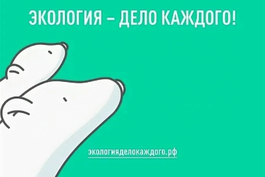 Экология – дело каждого
