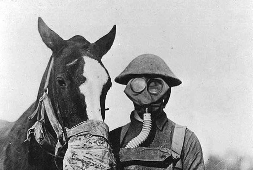 Фосфорорганические соединения в действии