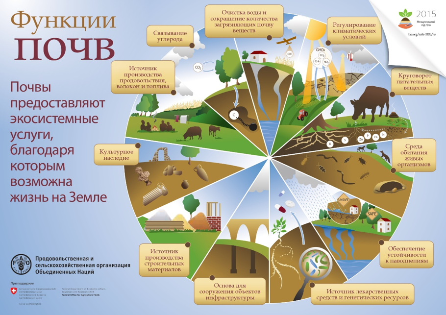 Открытая лекция "Плодородие и экологические функции почв"