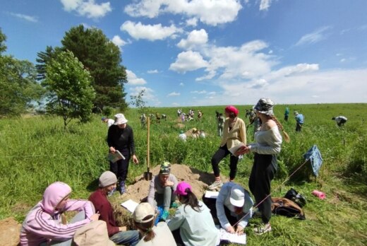 Формирование профессиональных компетенций студентов на вы...