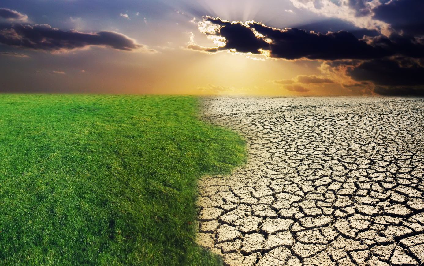 Лекция - дискуссия "Экологические функции, плодородие и о...