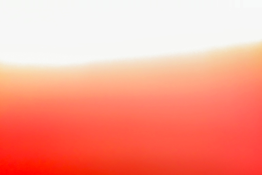 Собрание СПО «НЕМО»