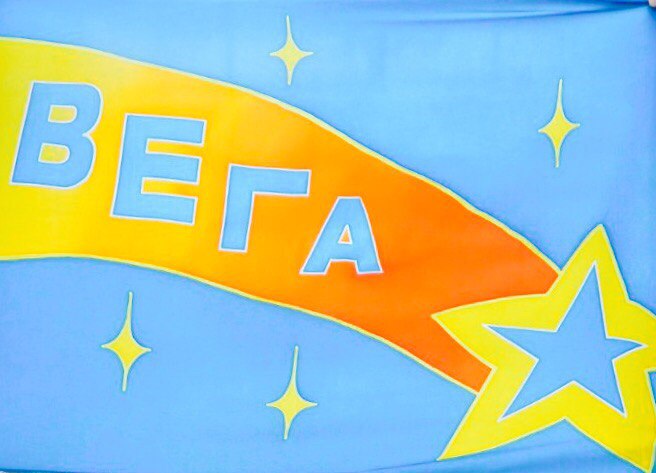 Лекционный сбор от СПО "Вега": особенности Временного Дет...