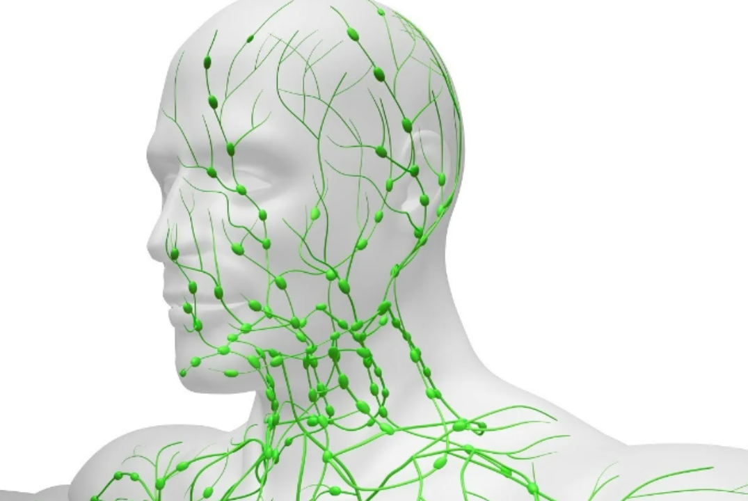 Лимфозапуск с Олесей Мороз