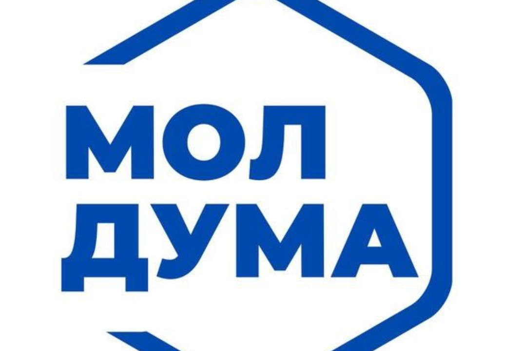 Рабочее совещание Молодёжной Думы города Ульяновска