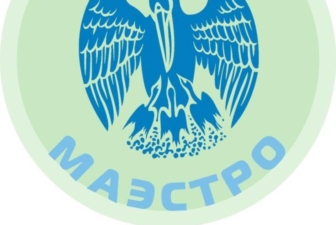 Собрание Студенческого Педагогического Отряда «Маэстро»