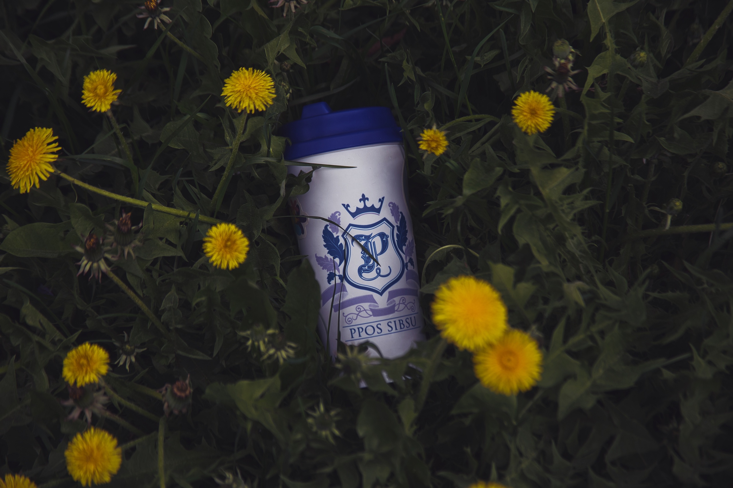 Совершенствование профессиональных компетенций и создание...